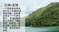 云南隆陵紫皮石斛种植基地图片